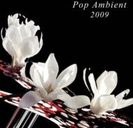 Various/Pop Ambient 2009