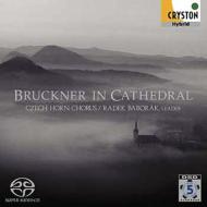Bruckner Incathedral: Baborak(Hr)Czech Horn Chorus Barta