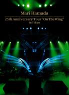 25th Anniversary Tour gOn The Wing