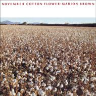 November Cotton Flower