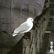 13 Japanese Birds: Vol.3