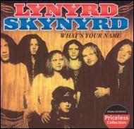 Lynyrd Skynyrd/What's Your Name