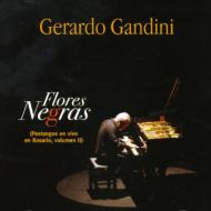 Gerardo Gandini/Flores Nearas Postangos En Vivo En Rosario 2