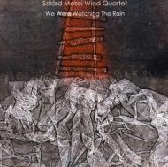 Szilard Mezei Wind/We Were Watching The Rain
