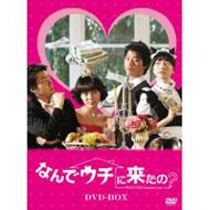 �Ȃ�ŃE�`�ɗ�����?