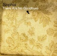 There Are No Goodbyes