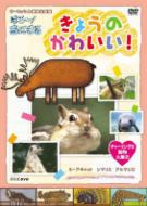 NHK DVD ダーウィンの動物大図鑑 はろ～!あにまる::きょうのかわいい