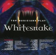 Various/Top Musicians Play Whitesnake