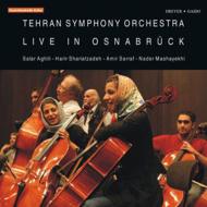 Orchestral Concert/Teheran So Live In Osnabruck-riahi Tchaikovsky Mashayekhi Etc