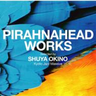 PIRAHNAHEAD WORKS selected by SHUYA OKINO