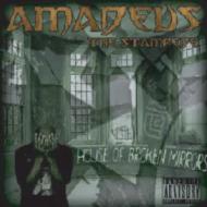 Amadeus Stampede/House Of Broken Mirrors
