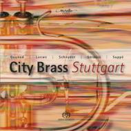 *brass＆wind Ensemble* Classical/City Brass Stuttgart Gounod Suppe J. strauss D. schnyder (Hyb)