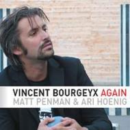 Vincent Bourgeyx/Again