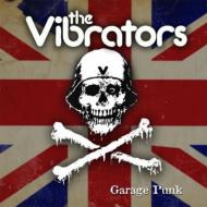 Vibrators/Garage Punk