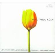 Concerto For 4 Recorder: Flautando Koln
