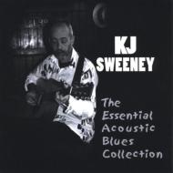 Essential Acoustic Blues Collection