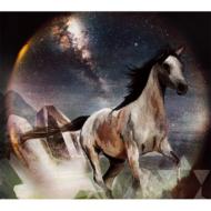 They Blind The Stars And The Wild Team