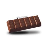 Ipod Chocolate Shaped Speaker (Brown)