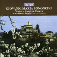 ܥΥˡˡޥꥢ1642-1678/Cantatas Sonate Da Camera Oliva(S) La Scatola Dai Suoni