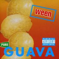 90s vtg vintage ween pure guava XLsoundga
