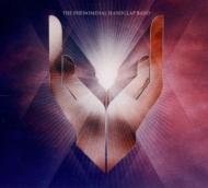 Phenomenal Handclap Band/Phenomenal Handclap