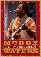 Live At Chicago Fest