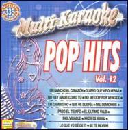 Various/Pop Hits 12