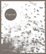 Fragment. (Rock)/Is Your Truth Carved In The Sand?