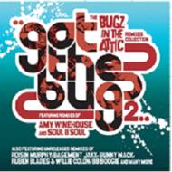 Got The Bug 2 Remixes Collection