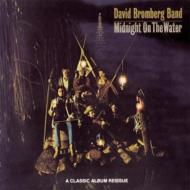 David Bromberg/Midnight On The Water