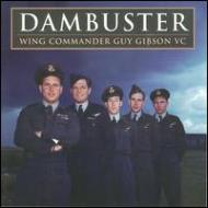 Wing Commander Guy Gibson Vc/Dambuster