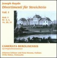 ハイドン（1732-1809）/Divertimentos(String Trio) Vol.1： Camerata Berolinensis