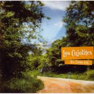 Los Cojolites / Son Jarocho: �\�� �n���[�`�� �`�I���̂Ȃ���