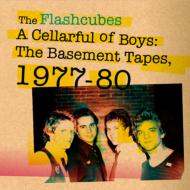 Flashcubes/A Cellarful Of BoysF The Basement Tapes 1977-80 (24bit)(Pps)