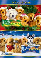 �o�f�B�[�Y �Z�b�g