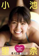 Rina Koike / 2010 Calendar