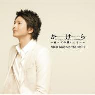 NICO Touches the Walls/-٤Ƥۤ-