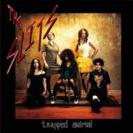 Slits/Trapped Animal