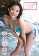 �~�Xflash 2009 ���{�G��