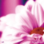 flow into sonic noise