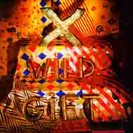 X/Wild Gift (Rmt)