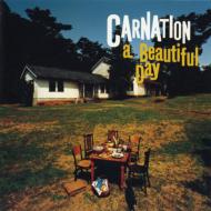 a Beautiful Day (Deluxe Edition)