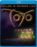 Falling In Between Live