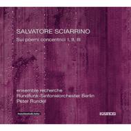 ���S�~�̎��̏�Łx�@�A���T���u���E���V�F���V���A�����f�����x�������������i�R�b�c�j