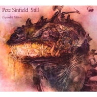Pete Sinfield/Still (Rmt)