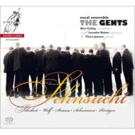 合唱曲オムニバス/Sehnsucht-german Romantic Choral Works： Csillag / The Gents (Hyb)