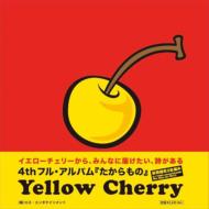 Yellow Cherry/