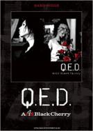 Q.E.D.Band Score