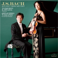 J.s.bach: Violin Sonata, 4, Handel, Leclair, Mozart: 川田知子(Vn)中野振一郎(Cemb)
