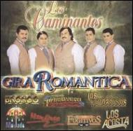 Various/Gira Romantica�� Los Caminantes
